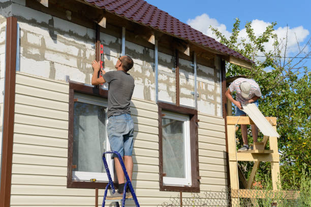 Best Stone Veneer Siding  in Fanwood, NJ