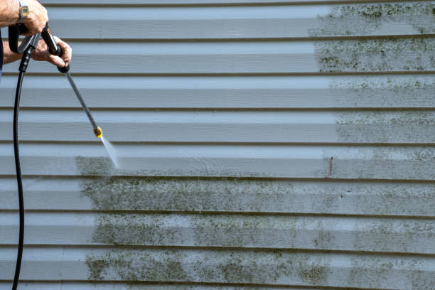 Best Custom Trim and Detailing for Siding  in Fanwood, NJ