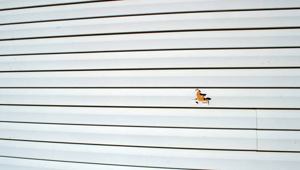 Best James Hardie Siding  in Fanwood, NJ