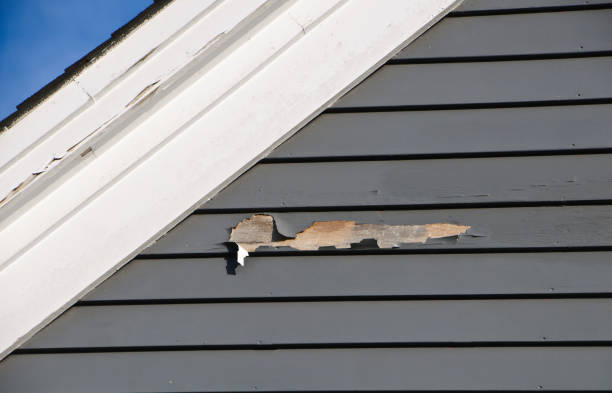 Best Stucco Siding  in Fanwood, NJ