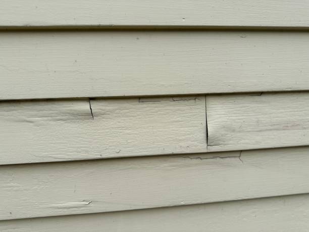 Storm Damage Siding Repair in Fanwood, NJ